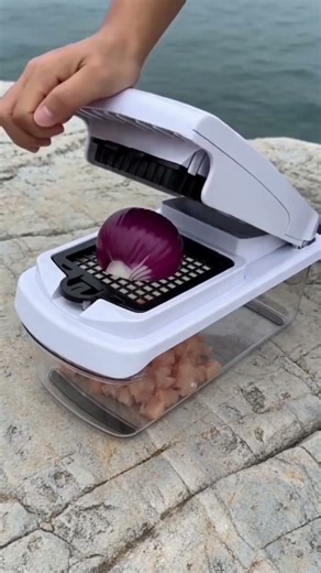 14–15-in-1 Countertop Vegetable Chopper |