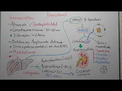 🔴 FARMACOCINÉTICA DEL PARACETAMOL: ABSORCIÓN, DISTRIBUCIÓN, METABOLISMO Y EXCRECIÓN