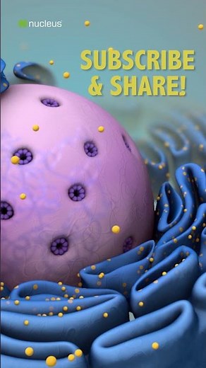 Biology Quiz: What structures make ribosomes?