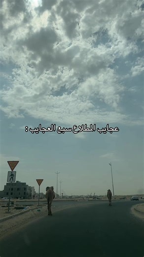 فيديوهات أنشأها رسن 🇰🇼 (@rsn.990) باستخدام الصوت الأصلي - ناصر