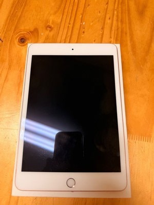 Apple iPad mini (5th Generation) A2133 64 GB, Wi-Fi, 7.9 in - Gold 190199062818| eBay