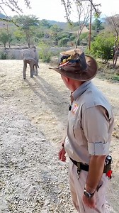 🎄🧡 ¡Tu arbolito natural puede seguir haciendo magia! Tráelo a Zoofari y conviértelo en bienestar para nuestras especies y en composta para nuestro suelo. Como agradecimiento, te obsequiamos una entrada general gratuita* 🔸 Recuerda que el árbol debe ser natural y estar libre de pintura, clavos, esferas, series, ganchos y cualquier otro adorno. *Promoción válida únicamente en taquilla hasta el 2 de febrero del 2025. No aplica con otras promociones. #Zoofari #CentroDeConservación #TurismoMorelos