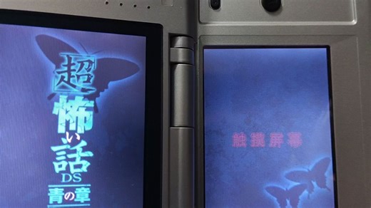 NDS这类游戏其实都很有意思