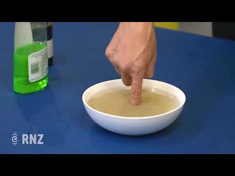 Why do we use soap to wash our hands? Nanogirls Great Science Adventures