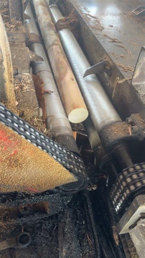 Eucalyptus Veneer Stress Relief: Fun Games for Mind & Body