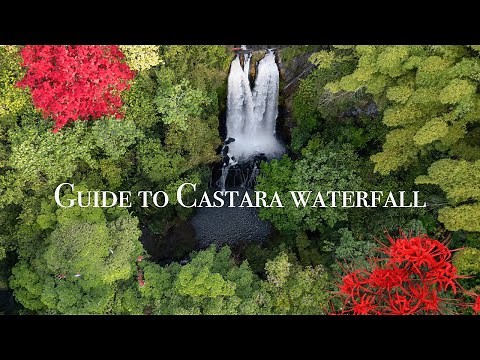 Trinidad & Tobago || Guide to Castara waterfall - an easy 10 min hike through Tobago's lush forest