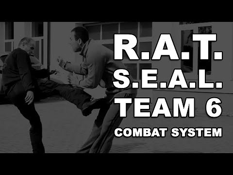 One of the best combat system ever | Jeden z najlepszych systemów combatowych