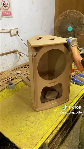 raidongaudio on TikTok