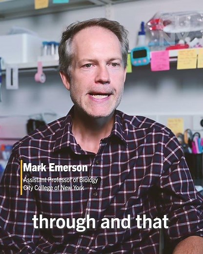 Biology, The City College of New York