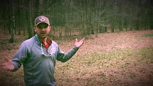 222 acre for sale big buck paradise! | Mississippi Land For Sale | Facebook