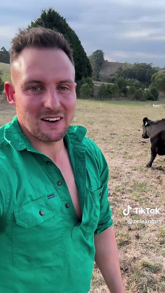 Actualización sobre la vaca y su ternero