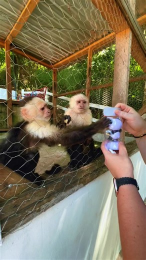 Exploring the Beauty of Honduras