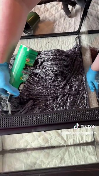 Creating a Tropical Vivarium Background for Crested Gecko