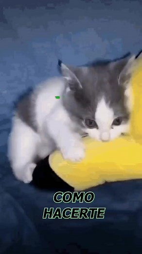 Guía para Speedrun en Hollow Knight: Mejora tu Sprint