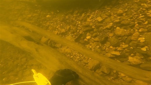 57K views · 1.1K reactions | Check out all the fish I saw today in the Menominee River, while cleaning up underwater!  I was able to remove a BUNCH of fishing line, hooks and garbage. Silent J and some random other guys helped clean up on land afterwards. Thanks!  #menomineeriver #fishing #scubadiving #marinette #wisconsin #menominee #michigan #fyp #outdoors #underwater #fish #walleye #sturgeon #browntrout #cleanup #exercise #adventure #fun | Ed the Diver | Facebook