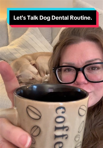 Effective Dog Dental Care: Tips for Pet Parents