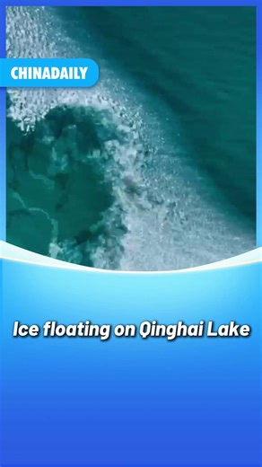 #Qinghai Lake, #China's largest inland saltwater lake, began to freeze in late December as temperatures continued to fall. The ice floating on the lake forms a "jade" belt. #ChinaCanvas | China Daily