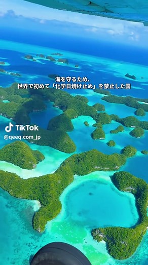 海が、どれほど尊く、強い存在なのかを思い出させてくれる場所🌊 ここはハワイでも、東南アジアでもない。 太平洋に浮かぶ、小さな島国・パラオ🇵🇼 エメラルド色に輝く海、手つかずのサンゴ礁、静かに息づく自然🐠 海に入った瞬間、サメやマンタがすぐそばを泳ぎ、 人と自然の距離が驚くほど近いことに気づかされる🦈 パラオが特別なのは、その美しさだけじゃない。 自然を守るために、世界で初めて化学日焼け止めを禁止した国🌿 整えられすぎていない、予測できない、だからこそ心を動かす。 ここでは、自然が主役で、人はその一部🌏 ただ「見る」旅では終わらない。 心に深く残る、本物の海がここにある✨ 📍パラオ ✍️「行ってみたい！」と思ったら保存してね📌 📩友達との旅行プランにもシェアして、次の旅のヒントに！ . #絶景 #海外旅行 #ご褒美旅行 #観光 #パラオ #絶景スポット #travel