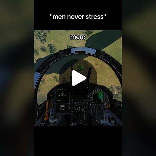 Got to evade 'em SA-6's daily | DCS World #aviation #military #men #dcsworld #warthunder #airforce #pilotlife