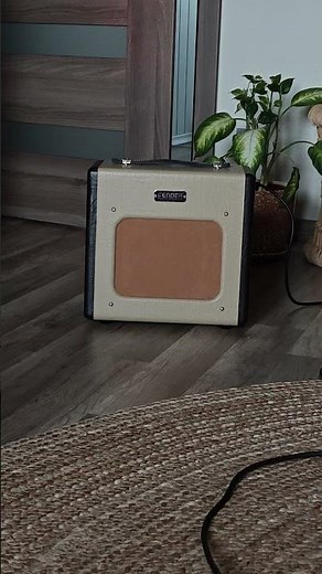 Fender Champion 600 With Custom Harmonica Microphone Ronette B110