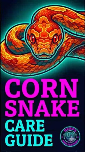The Ultimate Corn Snake Care Guide!