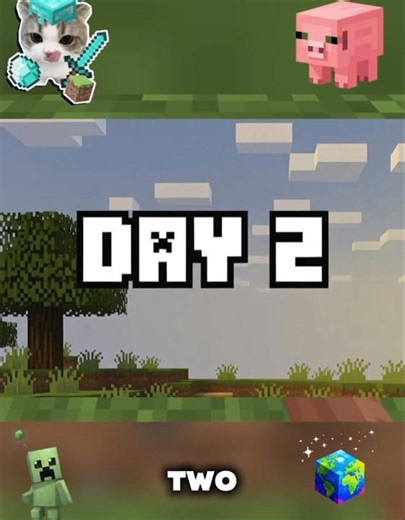 Day 2, collected 43 blocks #minecraft