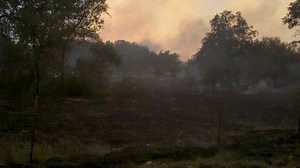 9.9K views · 282 reactions | #WallFire [update] off Chinese Wall Rd,...