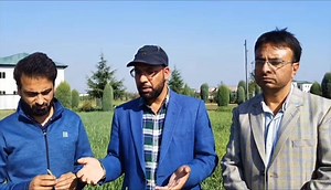 11K views · 128 reactions | ICAR-IGFRI Develop green grass for the season summer to winter at old airfield Rangreth Srinagar M. No Dr Suhail 7006929670 Ministry of Agriculture & Farmer’s Welfare, Government of India ICAR - Central Institute of Temperate Horticulture iCar SKUAST Kashmir Shivraj Singh Chouhan #agriculture #dairy #amimals #sheepfarming | Kashmir Agriculture information organic farming | Facebook