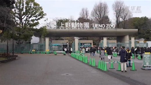 Syansyan Log | 【新華社通信の報道】現在、日本の上野動物園で飼育されているジャイアントパンダの双子「暁暁」と「蕾蕾」は、今月27日に中国へ帰国する。日中双方のこれまでの合意によると、「暁暁」と「蕾蕾」の返還期限は2026年2月とされていたが、日本メディアの報道によれば、東京都側と中国側との協議を... | Instagram