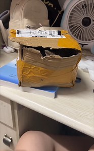 119K views · 2.4K reactions | cute kitten | Baby Cat | Facebook