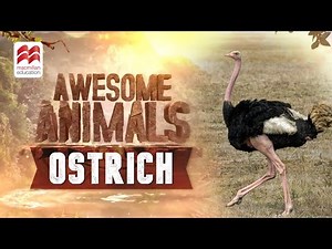 Ostrich | Macmillan Education India