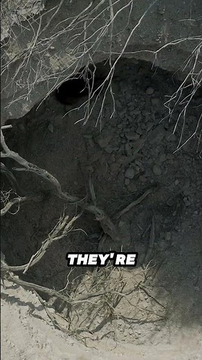 Why Sinkholes Form? Ground Collapse Explained