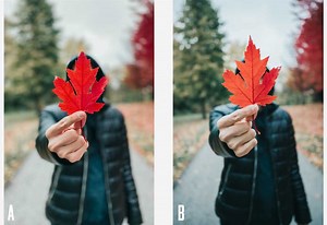 Confronto iPhone 11 Pro e Canon 1DX Mark II: il vincitore è....