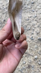 291K views · 1.4K reactions | Mainan nostalgia | Rayner ray | Facebook