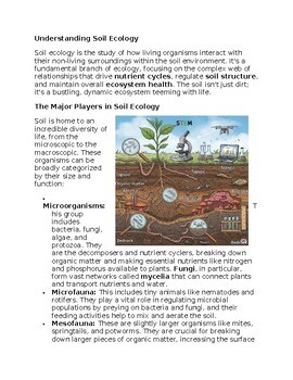 Soil in Environmental Science Worksheet for SubPlan & Homework