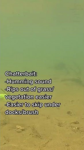 Spinnerbait vs. Chatterbait Basics!