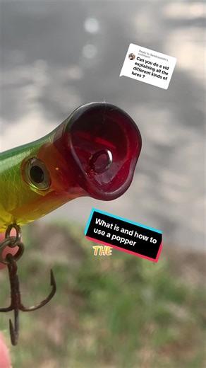 Reel Fishing (@reelfishingpov)’s videos with Le Monde - From Talk to Me - Richard Carter