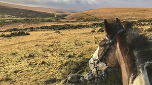 Fancy taking a horsey holiday this year? Check out these UK horse riding holidays...