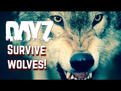 How to Defend Yourself From Wolves DayZ Standalone .61 Tips