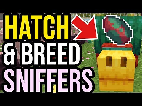 How To HATCH A Sniffer EGG & BREED SNIFFERS In Minecraft 2026!