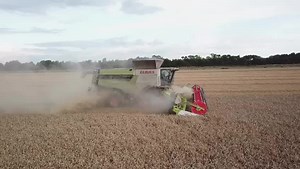 24K views · 2.1K reactions | CLAAS LEXION 8900 Synflow, in action #Lincolnshire #Claas #Farming | CLAAS Eastern | Facebook
