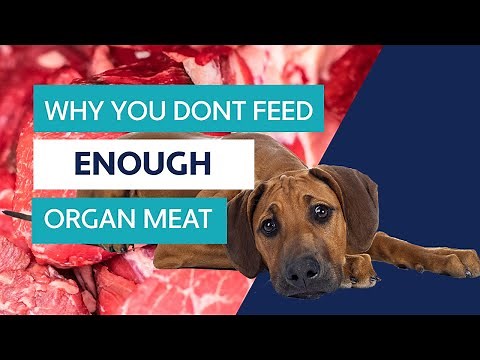 Does Your Raw Dog Food Have Enough Organ Meat?