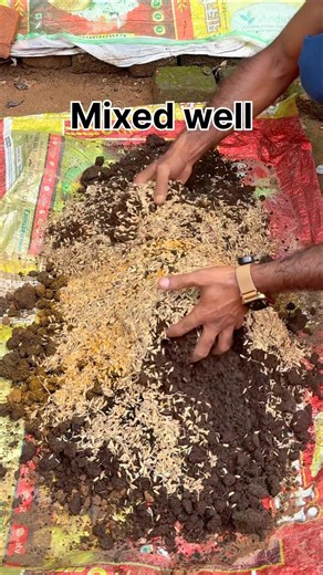 Preparing soil for planting #gardening #biofertilizer #farming #homegardening