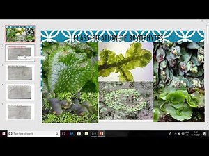 Outline of classification of Bryophytes