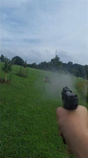 Gun- Taurus G2C