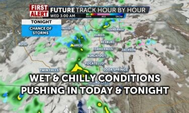 Tandem skydivers become separated, with one falling to his death and the other hanging from a tree - Local News 8