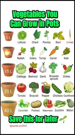 Best Vegetables to Grow in Pots | Container Gardening Guide 🌱