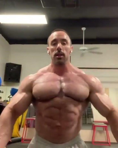 Hot alpha muscle bull grunting and flexing