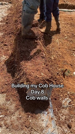 Building my cob house day 8 Cob walls go up #cob #building #natural #diy #fyp