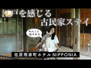 【古民家ホテル】江戸時代の建物をリノベした佐原商家町ホテル NIPPONIAにわんこと一緒に泊まってみた